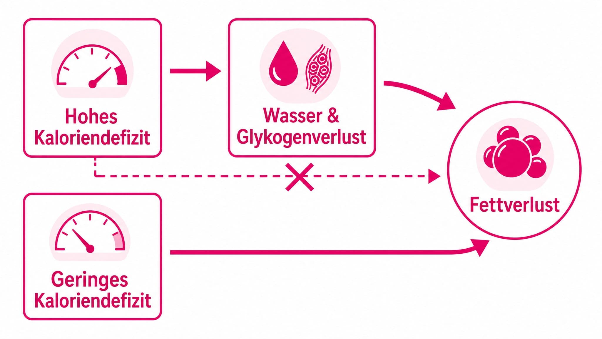 Pfeile zeigen: Hohes Kaloriendefizit -> Wasser & Glykogenverlust. Geringes Kaloriendefizit -> Fettverlust.