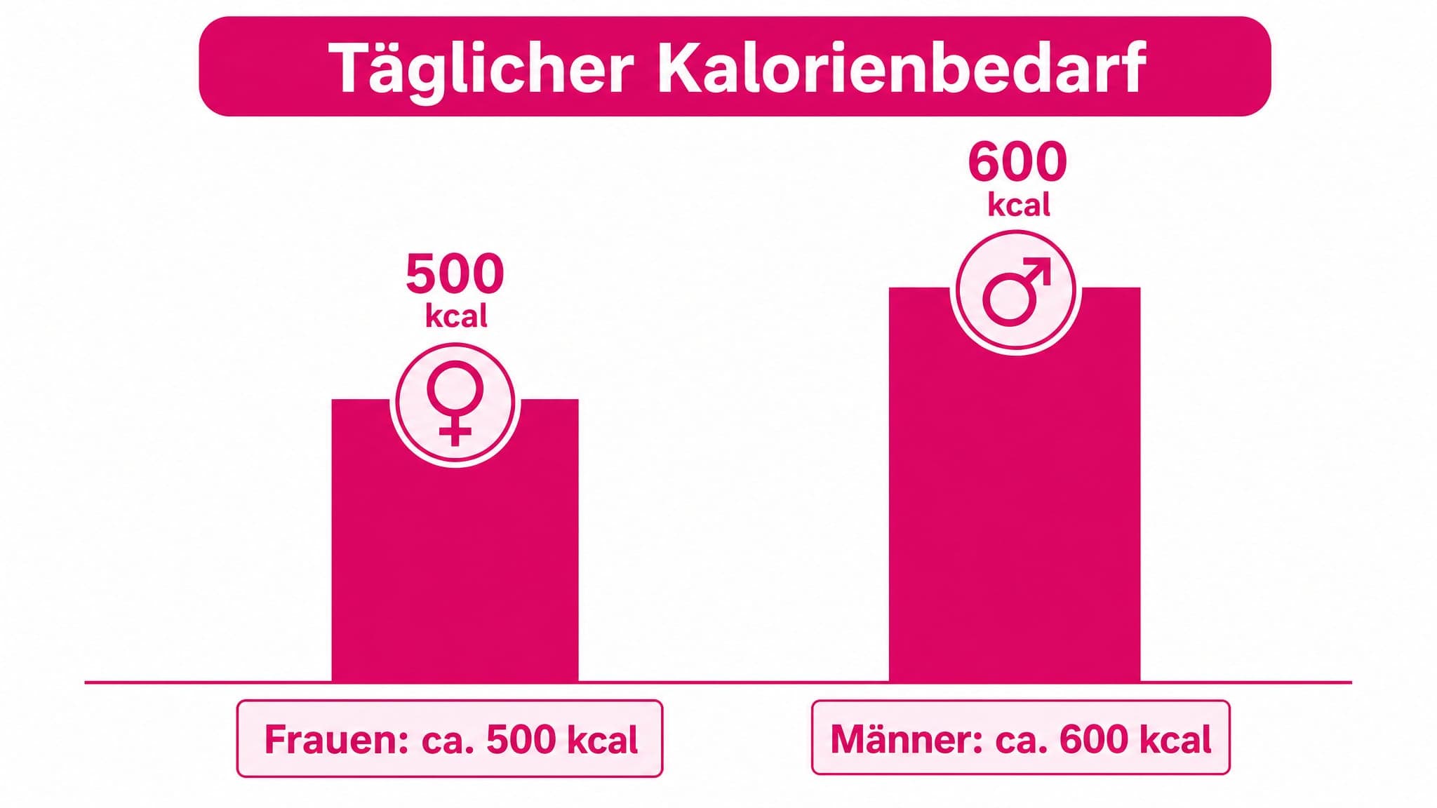 Zwei Säulen, eine für Frauen (500 kcal) und eine für Männer (600 kcal), die die reduzierte Kalorienzufuhr an Fastentagen dars