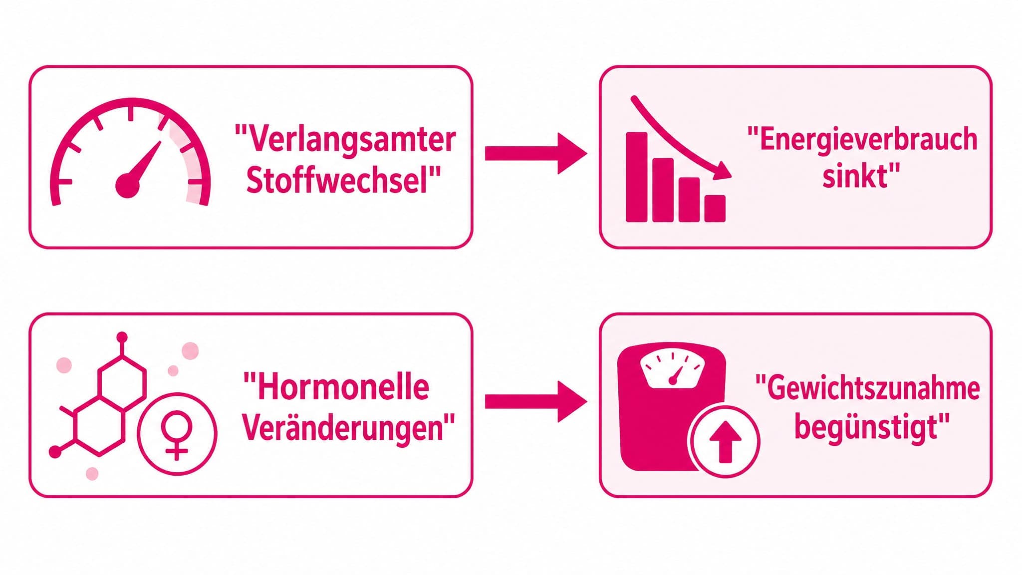 Pfeile zeigen von "Verlangsamter Stoffwechsel" und "Hormonelle Veränderungen" zu "Energieverbrauch sinkt" und "Gewichtszunahm