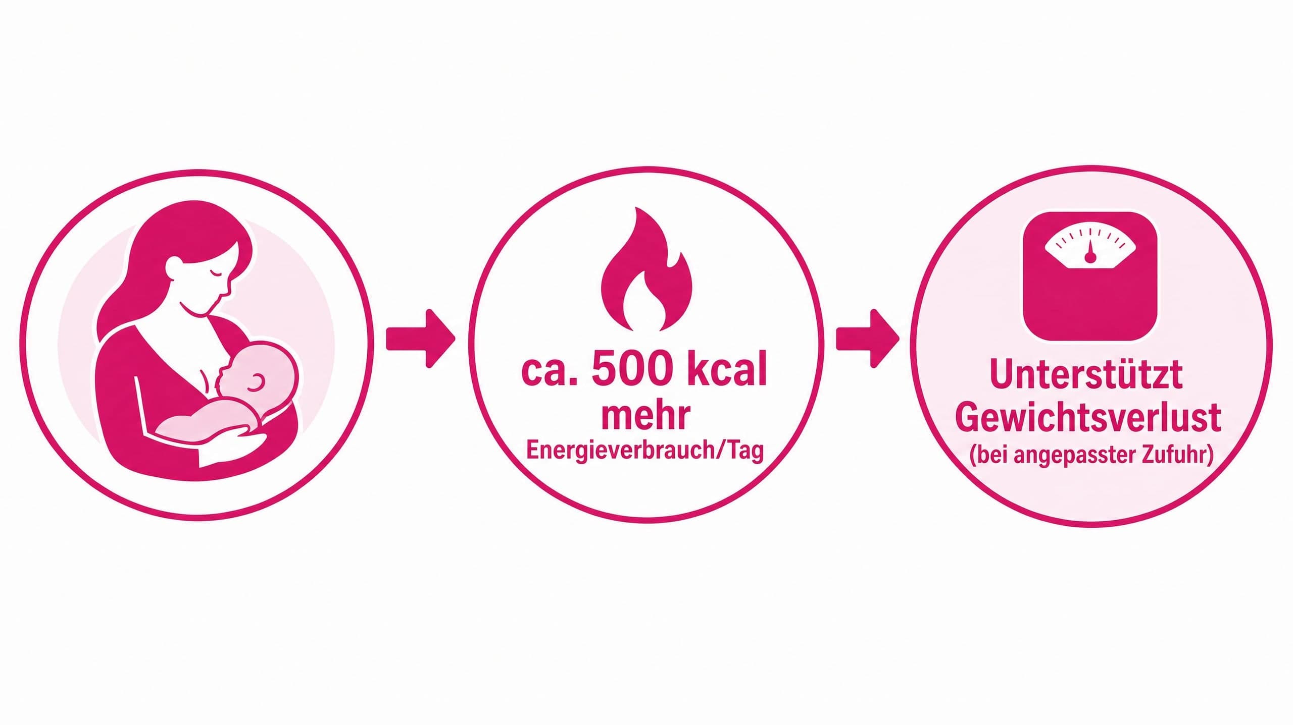 Ein Pfeil von "Stillen" führt zu "+ 500 kcal Energieverbrauch/Tag" und weiter zu "Unterstützt Gewichtsverlust (bei angepasste