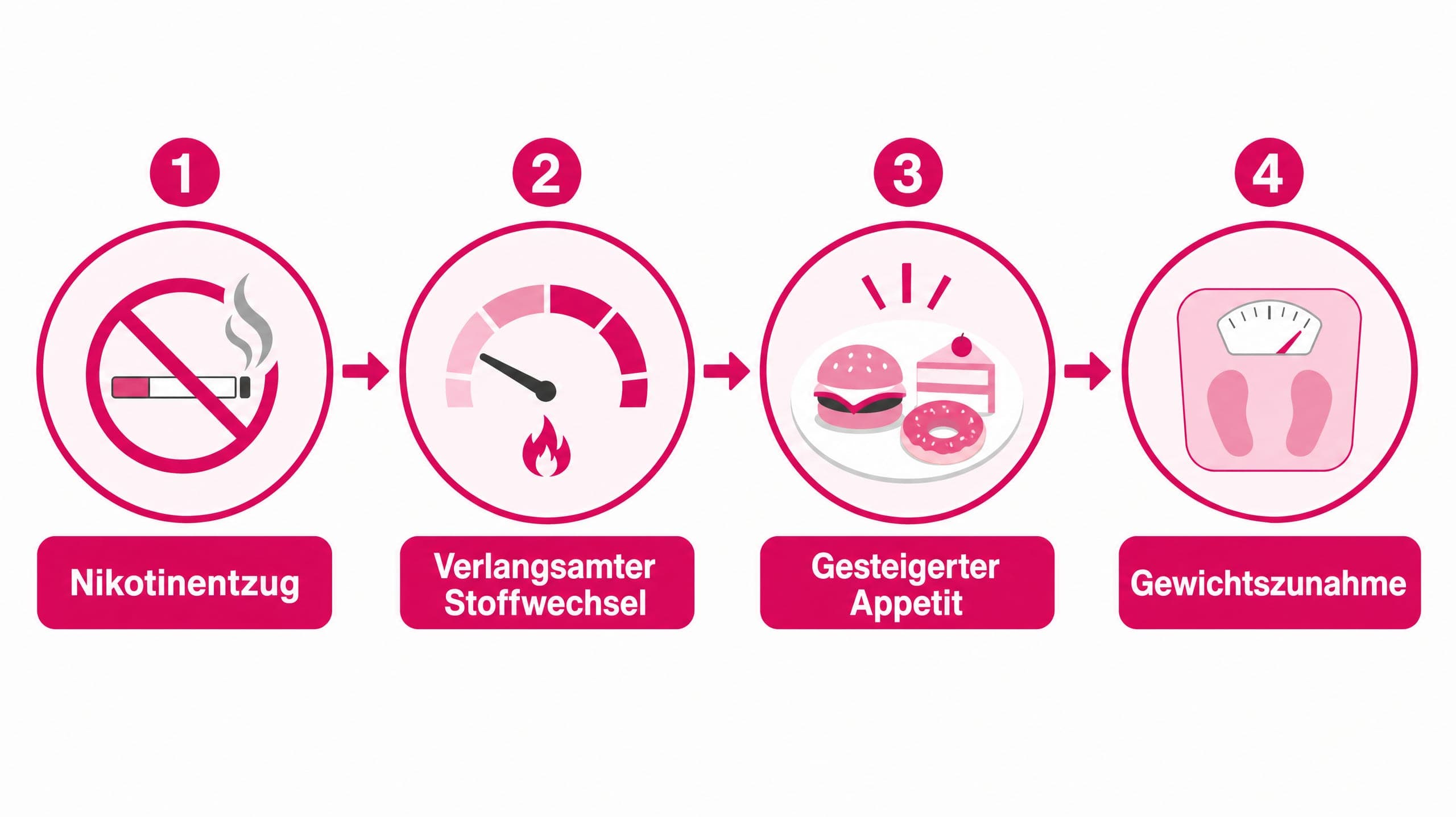 Pfeile zeigen: Nikotinentzug -> Verlangsamter Stoffwechsel. Nikotinentzug -> Gesteigerter Appetit. Gesteigerter Appetit -> Ge