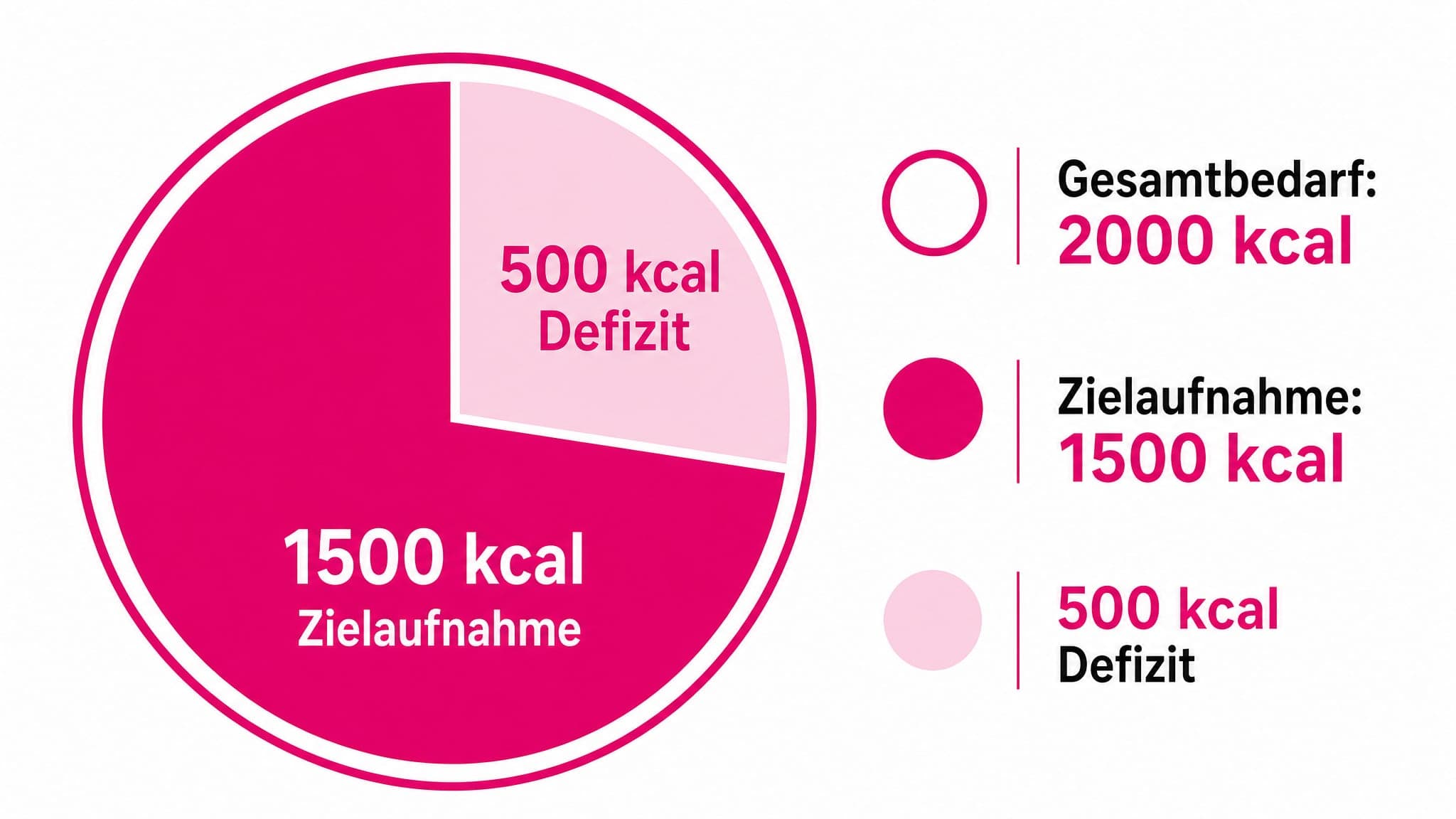 Ein Kreisdiagramm zeigt 2000 kcal (Gesamtbedarf) und 1500 kcal (Zielaufnahme) mit einem markierten Defizit von 500 kcal.