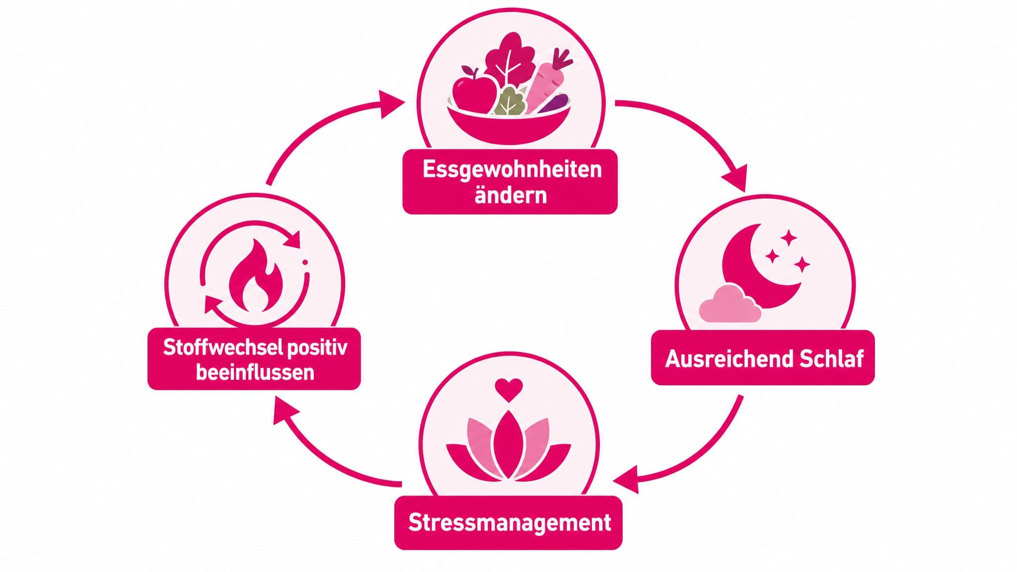 Ein Kreisdiagramm mit vier Segmenten: Essgewohnheiten, Schlaf, Stressmanagement, Stoffwechsel. Pfeile verbinden diese Element