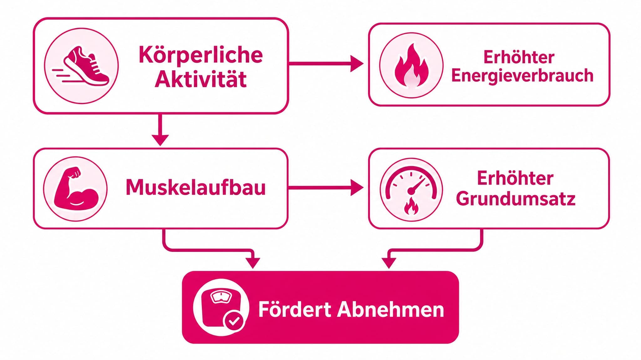Pfeile zeigen von "Körperliche Aktivität" zu "Erhöhter Energieverbrauch" und "Muskelaufbau". Ein weiterer Pfeil zeigt von "Mu