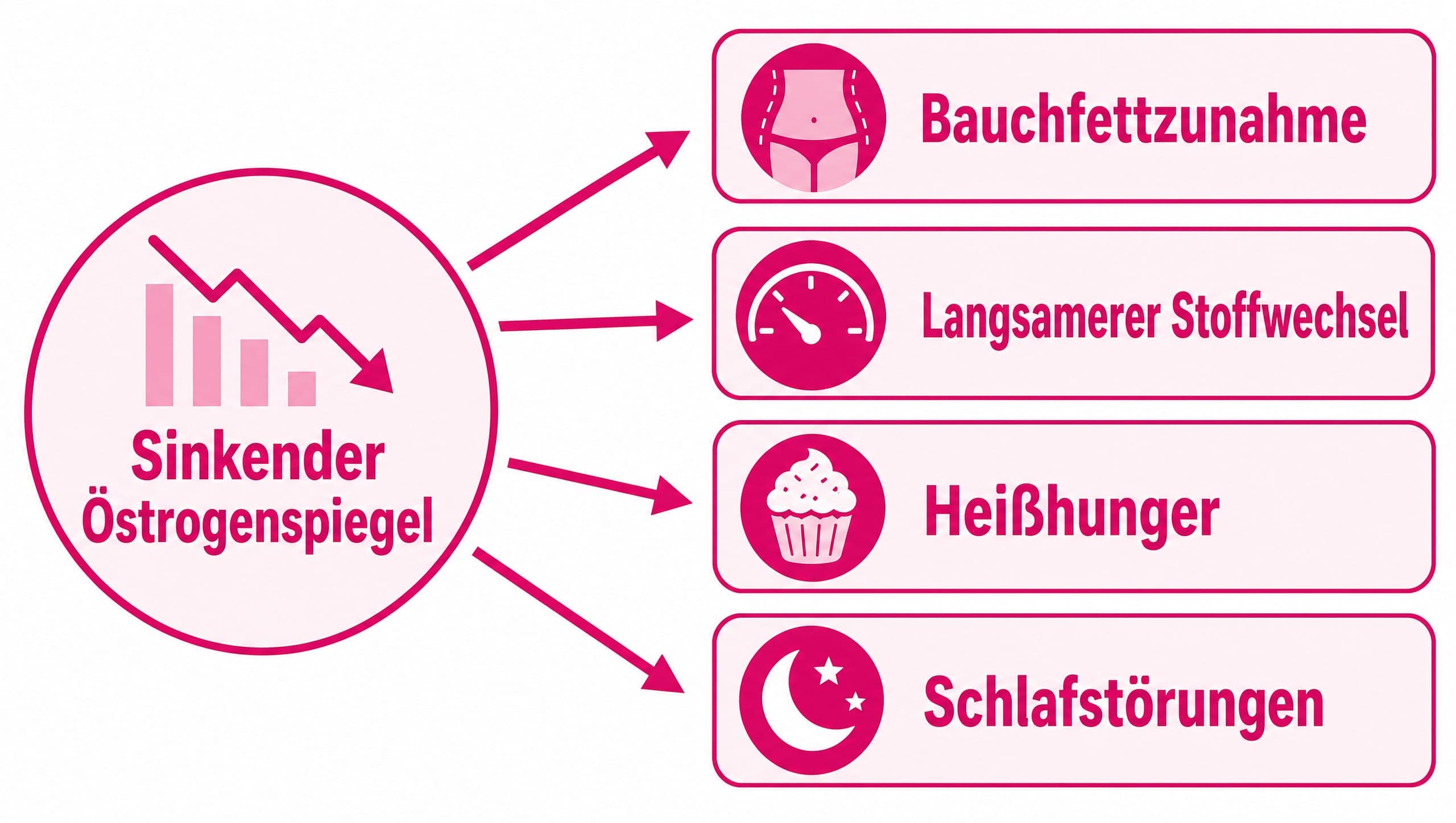 Pfeile zeigen von "sinkender Östrogenspiegel" zu "Bauchfettzunahme", "langsamerer Stoffwechsel", "Heißhunger" und "Schlafstör