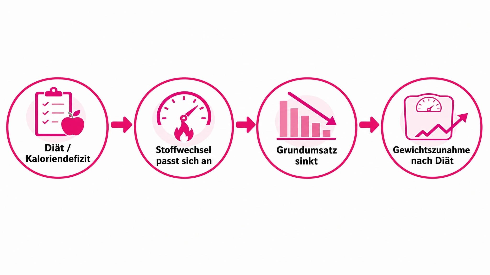 Pfeile zeigen von "Diät/Kaloriendefizit" zu "Stoffwechsel passt sich an" und "Grundumsatz sinkt". Von dort zu "Gewichtszunahm