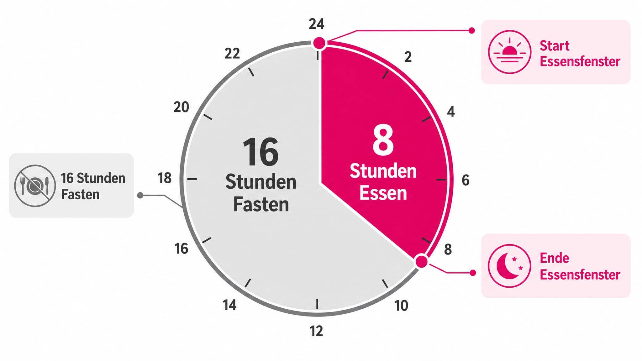 Eine Zeitachse zeigt 24 Stunden: 16 Stunden grau (Fasten) und 8 Stunden pink (Essen), mit den Beschriftungen "16 Stunden Fast
