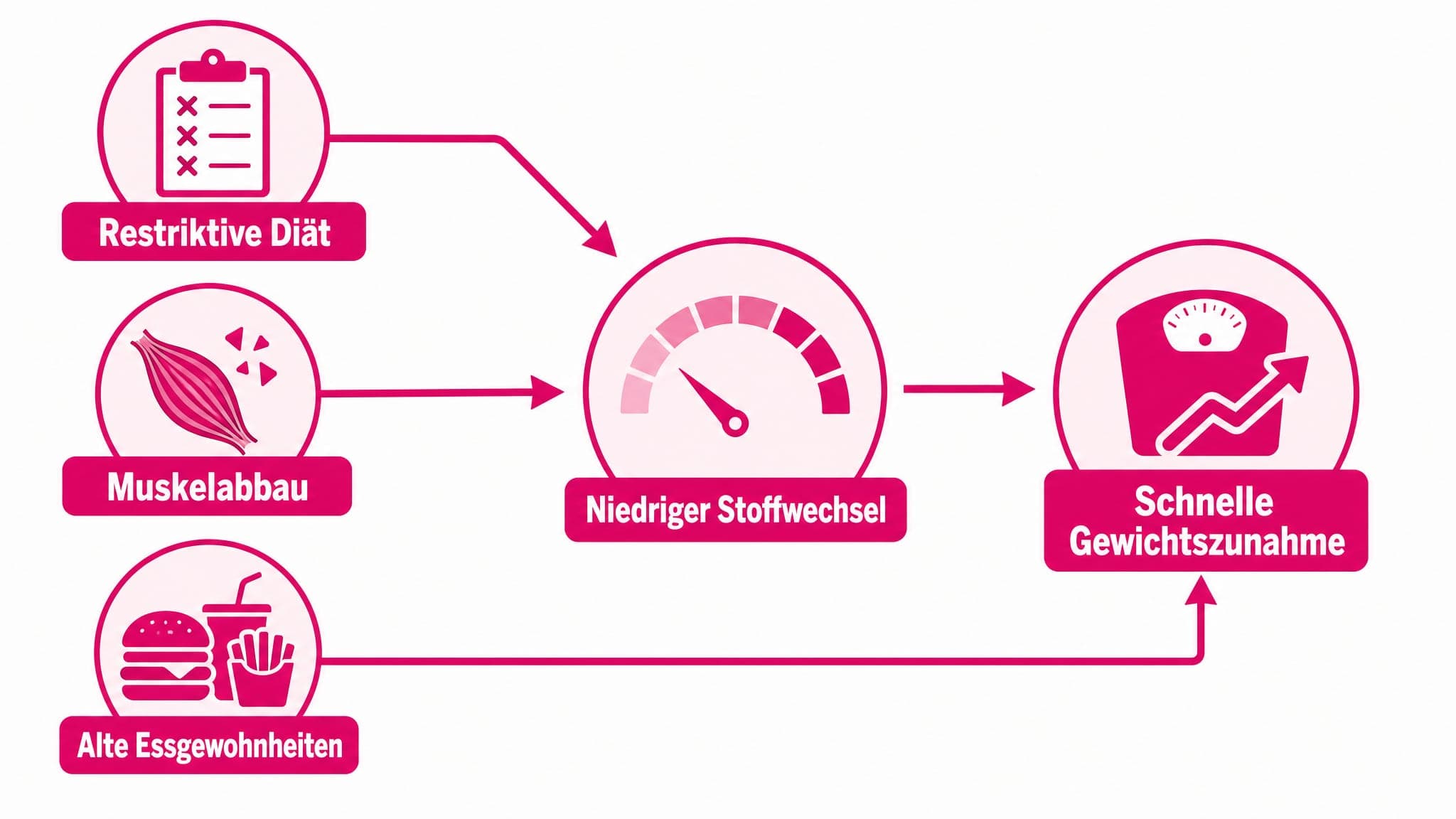 Pfeile zeigen von "Restriktive Diät" zu "Niedriger Stoffwechsel" und "Muskelabbau". Pfeile zeigen von "Alte Essgewohnheiten" 