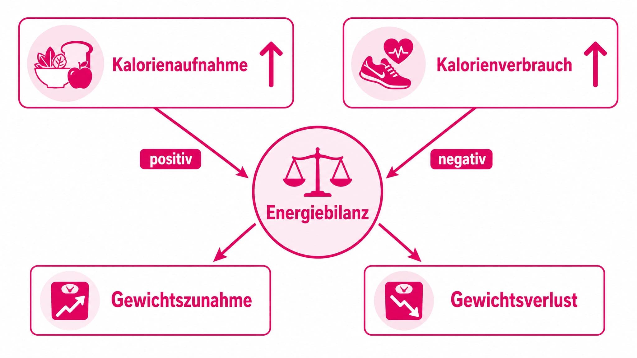 Pfeile zeigen von "Kalorienaufnahme" und "Kalorienverbrauch". Ist die Aufnahme größer als der Verbrauch, führt dies zu "Gewic