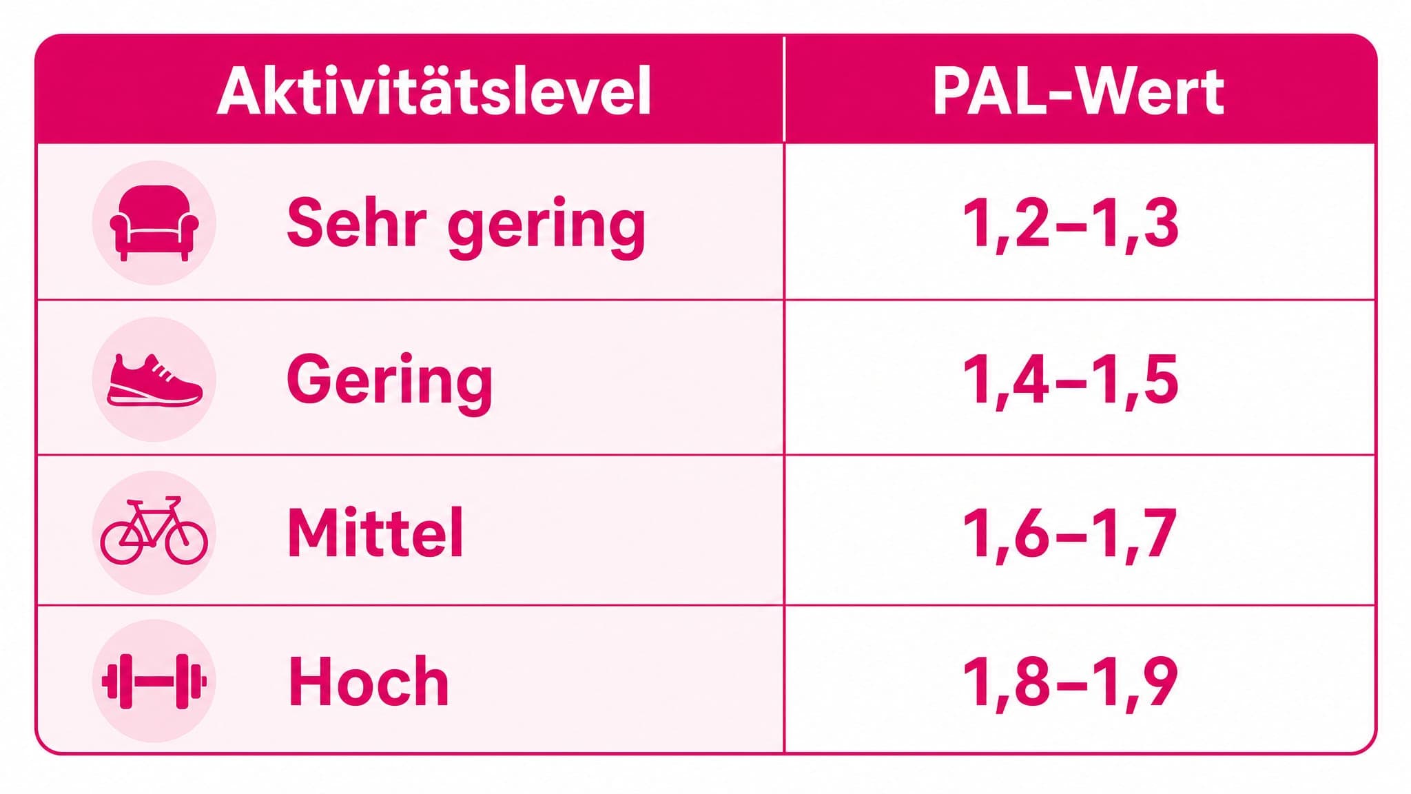 Tabelle mit vier Zeilen und zwei Spalten: "Aktivitätslevel" (Sehr gering, Gering, Mittel, Hoch) und "PAL-Wert" (1,2-1,3, 1,4-