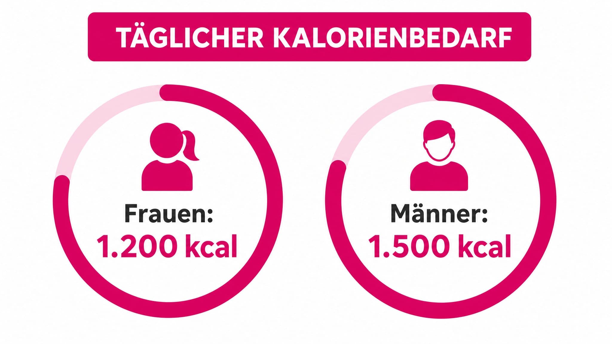 Zwei Kreissegmente nebeneinander: Ein größeres Segment für Frauen (1200 kcal) und ein kleineres für Männer (1500 kcal) mit Be