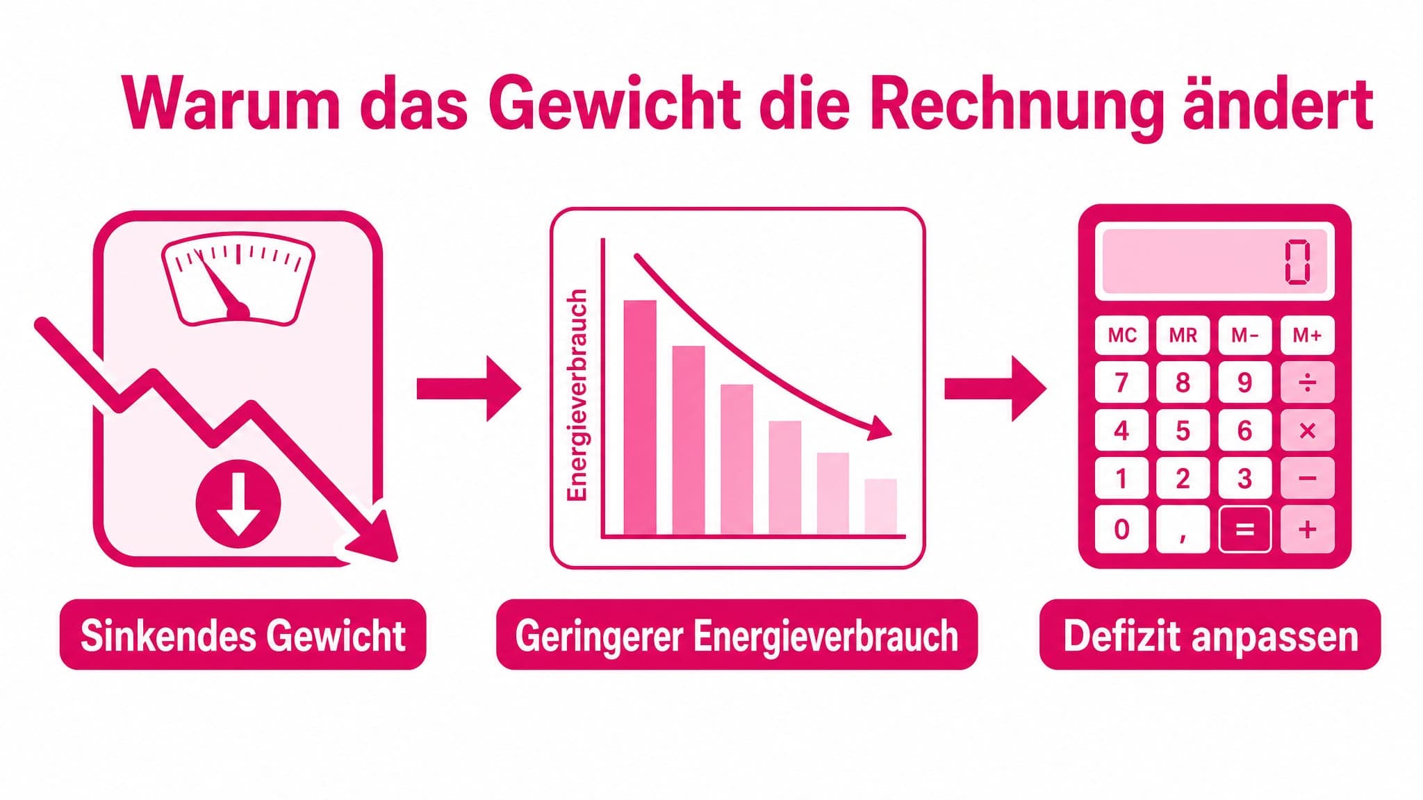 Ursache-Wirkung-Diagramm: Sinkendes Gewicht (Ursache) führt zu geringerem Grund- und Gesamtumsatz (Wirkung), was eine Anpassu