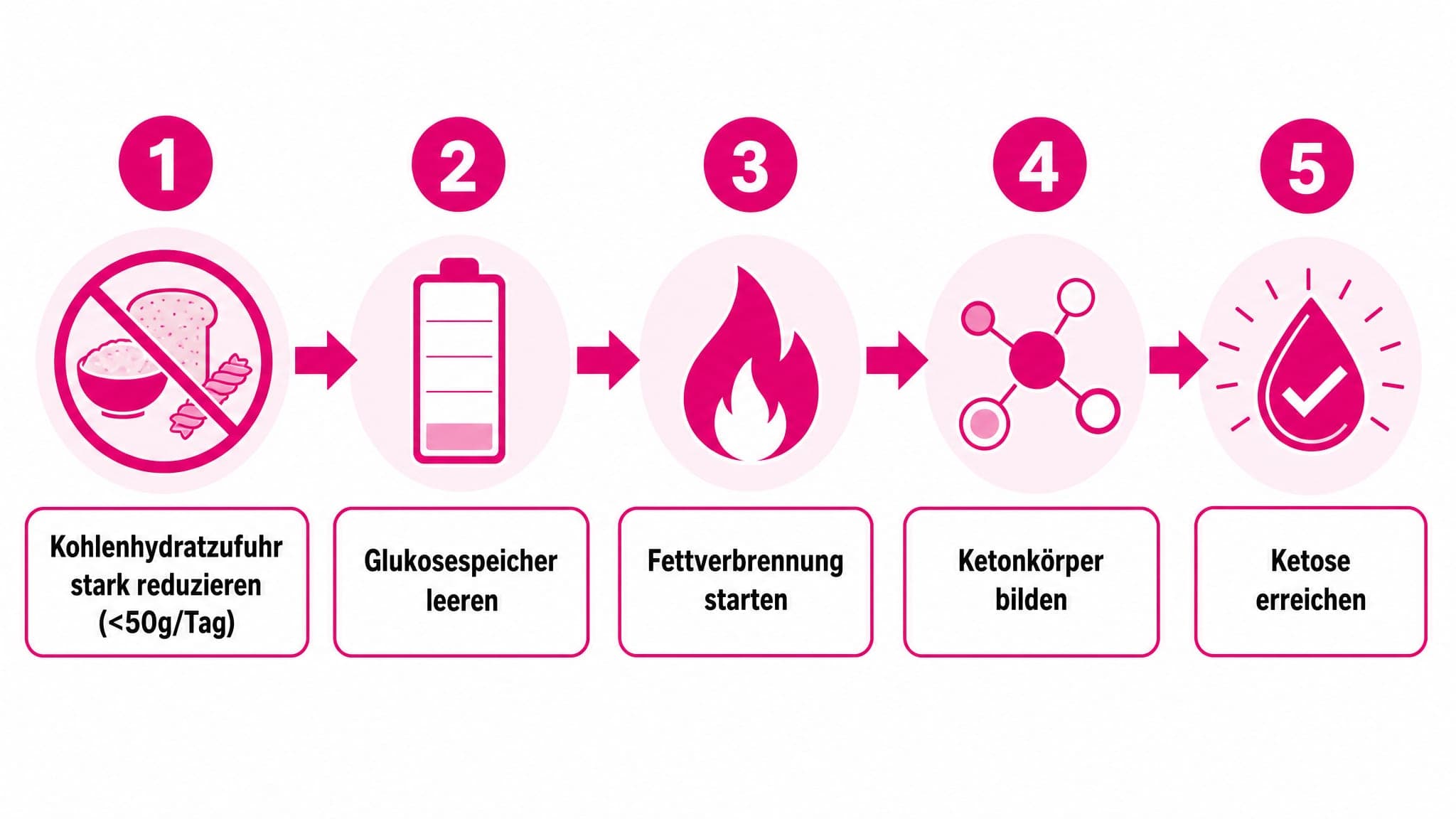 Ablaufdiagramm: 1. Kohlenhydratzufuhr stark reduzieren (<50g/Tag). 2. Glukosespeicher leeren. 3. Fettverbrennung starten. 4. 