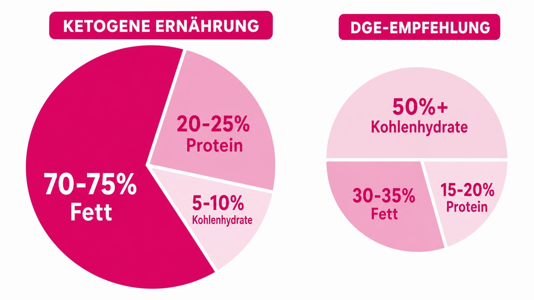 Tellerprinzip: Ein Teller ist in 3 Sektoren aufgeteilt. Keto: 70-75% Fett (großer Sektor), 20-25% Protein (mittlerer Sektor),