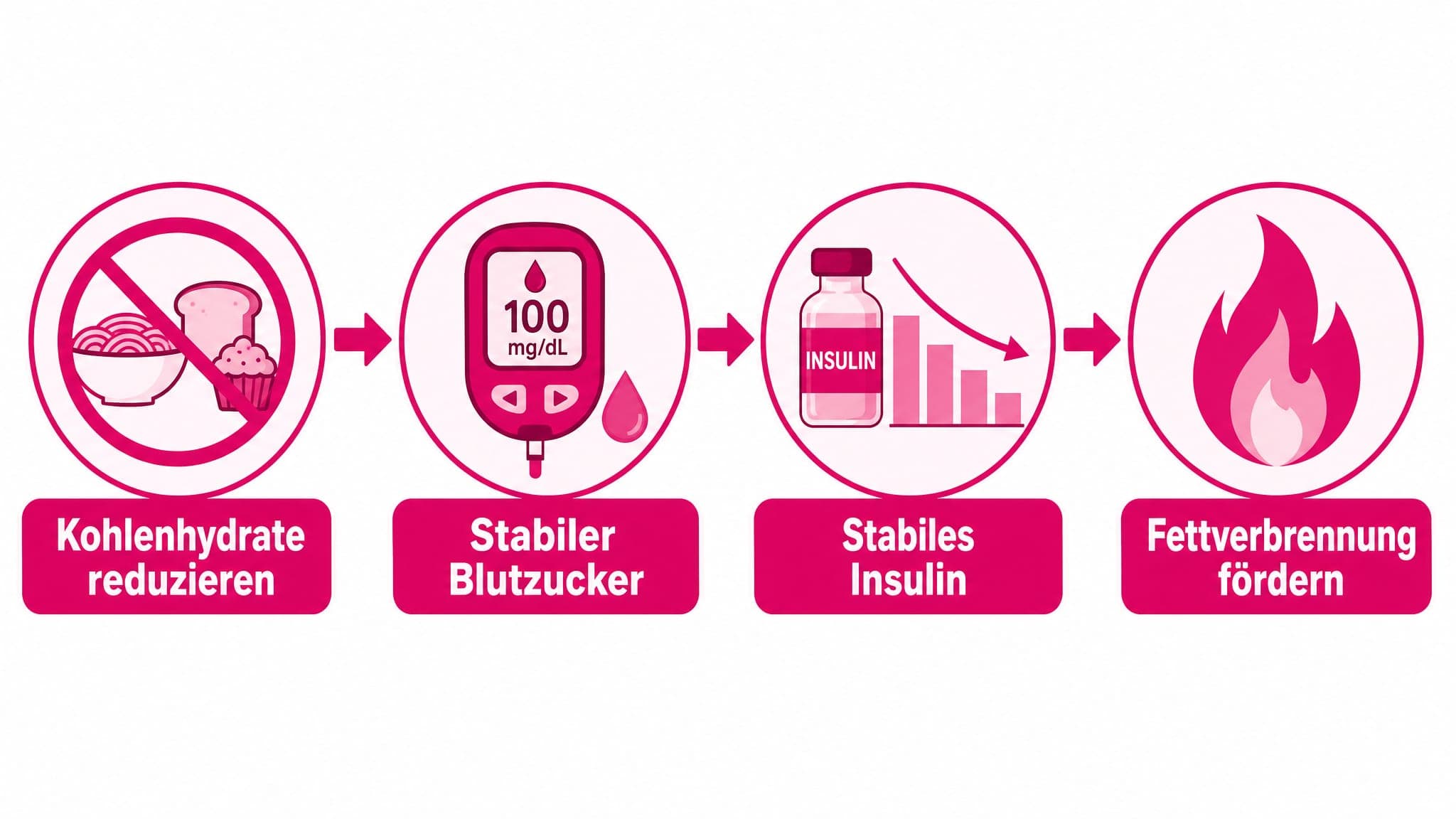 Pfeile zeigen von "Kohlenhydrate reduzieren" zu " stabiler Blutzucker" und "stabiles Insulin", was zu "Fettverbrennung förder