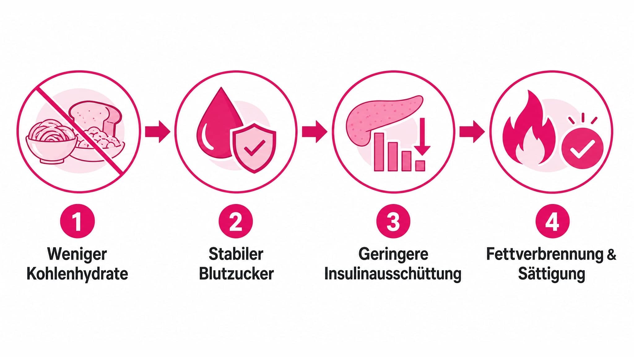 Schema: Reduzierte Kohlenhydrate -> stabiler Blutzucker -> weniger Insulin -> Fettverbrennung & Sättigung.