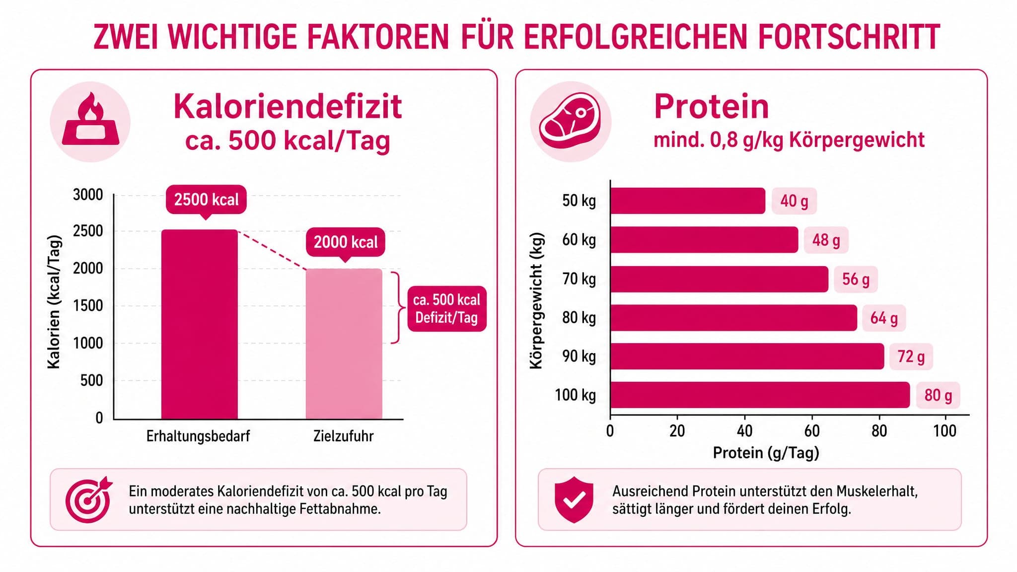 Balkendiagramm: Kaloriendefizit ca. 500 kcal/Tag. Protein: mind. 0,8 g/kg Körpergewicht.