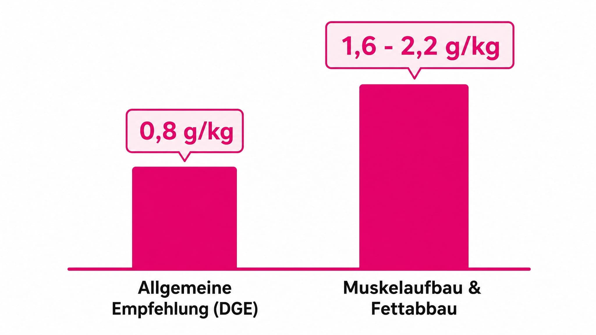 Zwei Balkendiagramme vergleichen die empfohlene Proteinzufuhr für Erwachsene mit der für Muskelaufbau und Fettabbau.