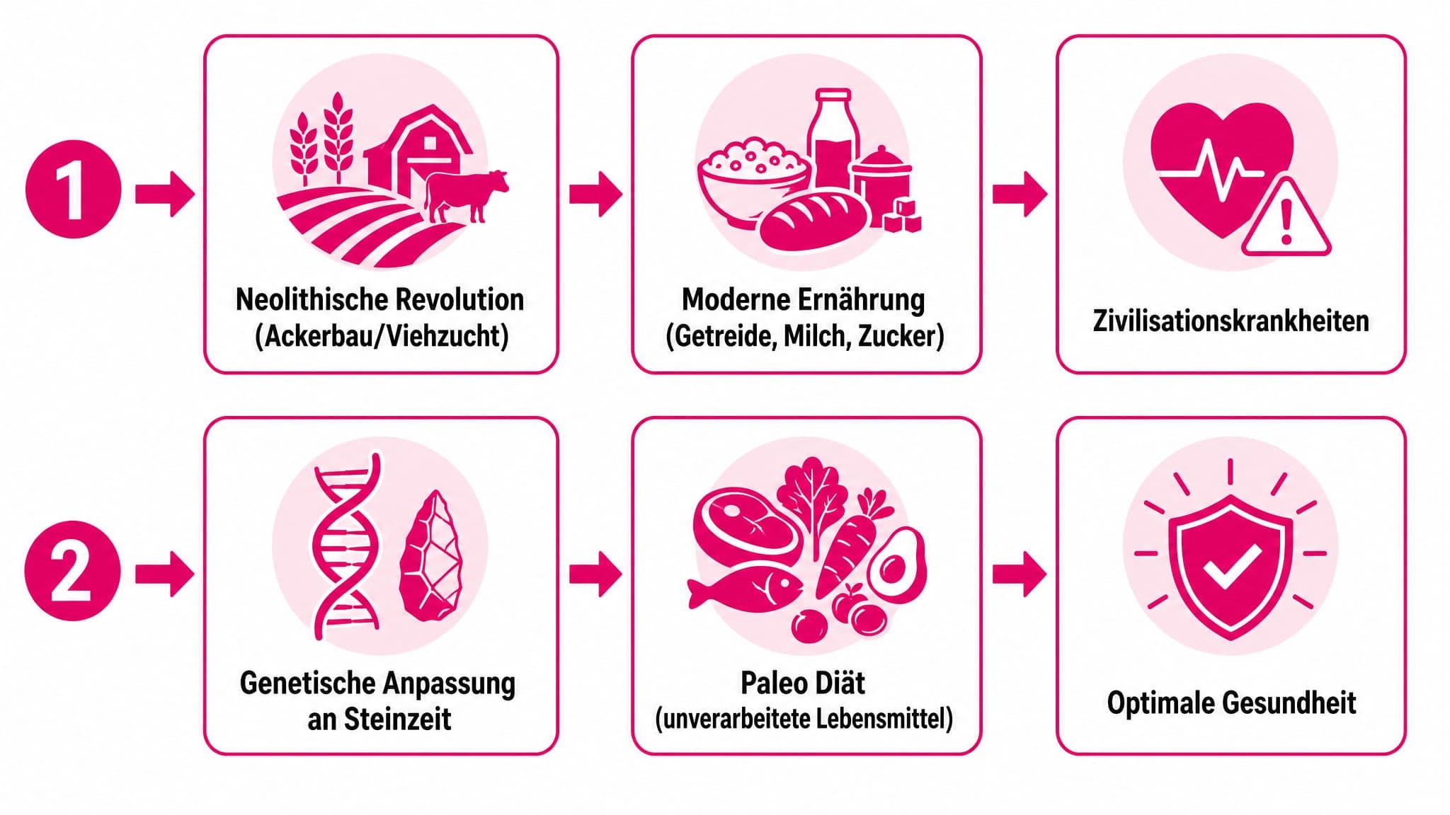 Flussdiagramm: "Neolithische Revolution (Ackerbau/Viehzucht)" führt zu "Moderne Ernährung (Getreide, Milch, Zucker)" -> "Zivi