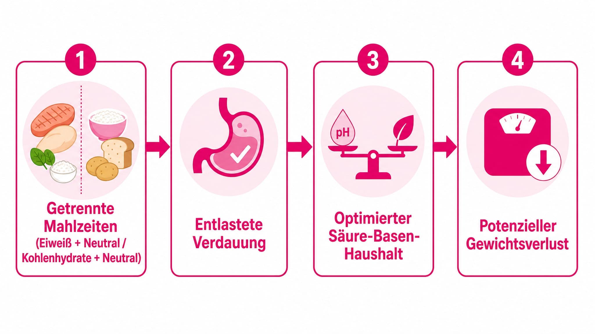 Pfeil von "Getrennte Mahlzeiten (Eiweiß + Neutral / Kohlenhydrate + Neutral)" zu "Entlastete Verdauung" und weiter zu "Optimi