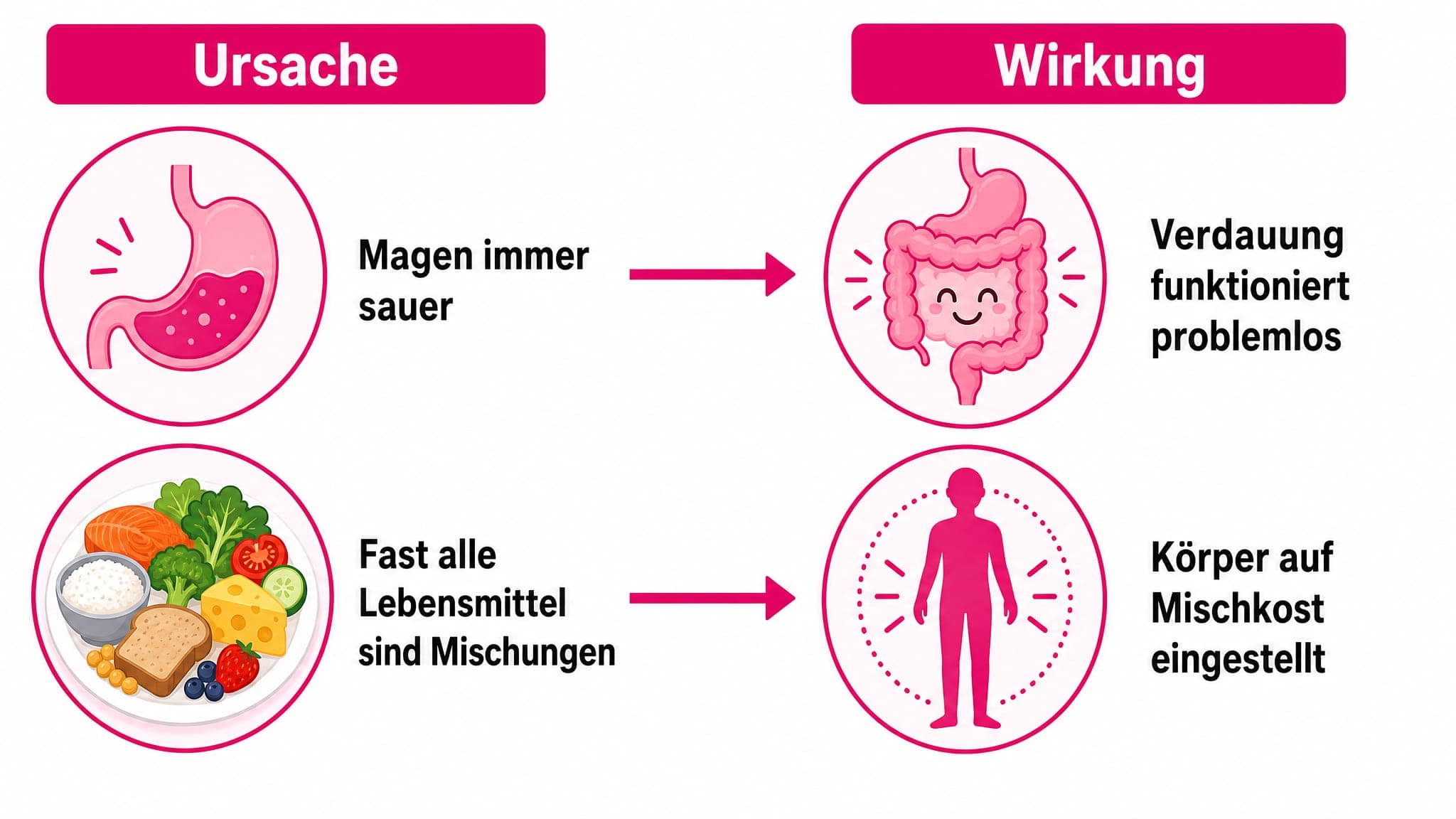 Ursache-Wirkung-Diagramm: Linke Seite zeigt "Magen immer sauer" und "Alle Lebensmittel sind Mischkost". Rechte Seite zeigt "V