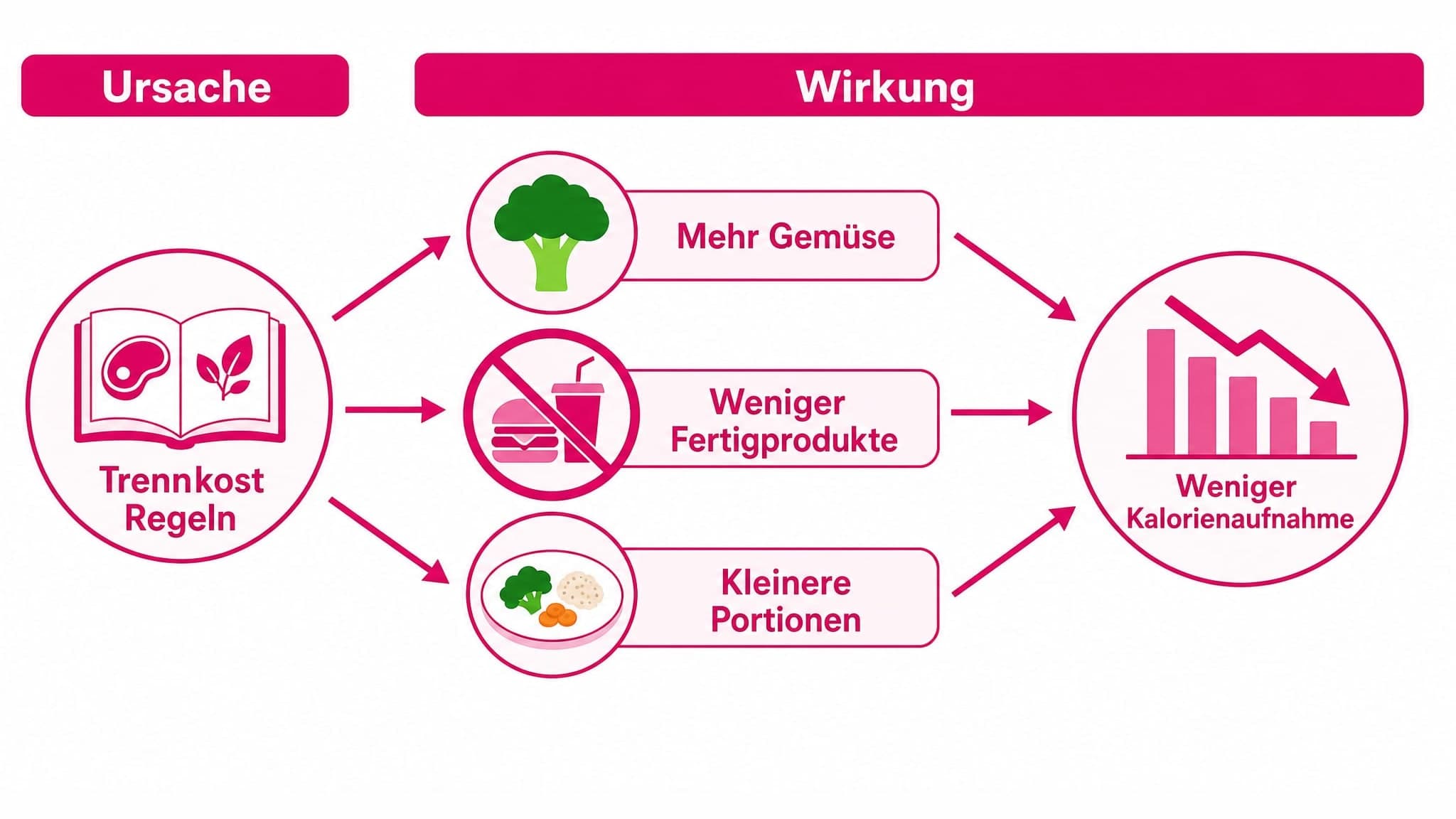 Ursache-Wirkung-Diagramm: Linke Seite zeigt "Regeln der Trennkost befolgen". Rechte Seite zeigt "Mehr Gemüse", "Weniger Ferti
