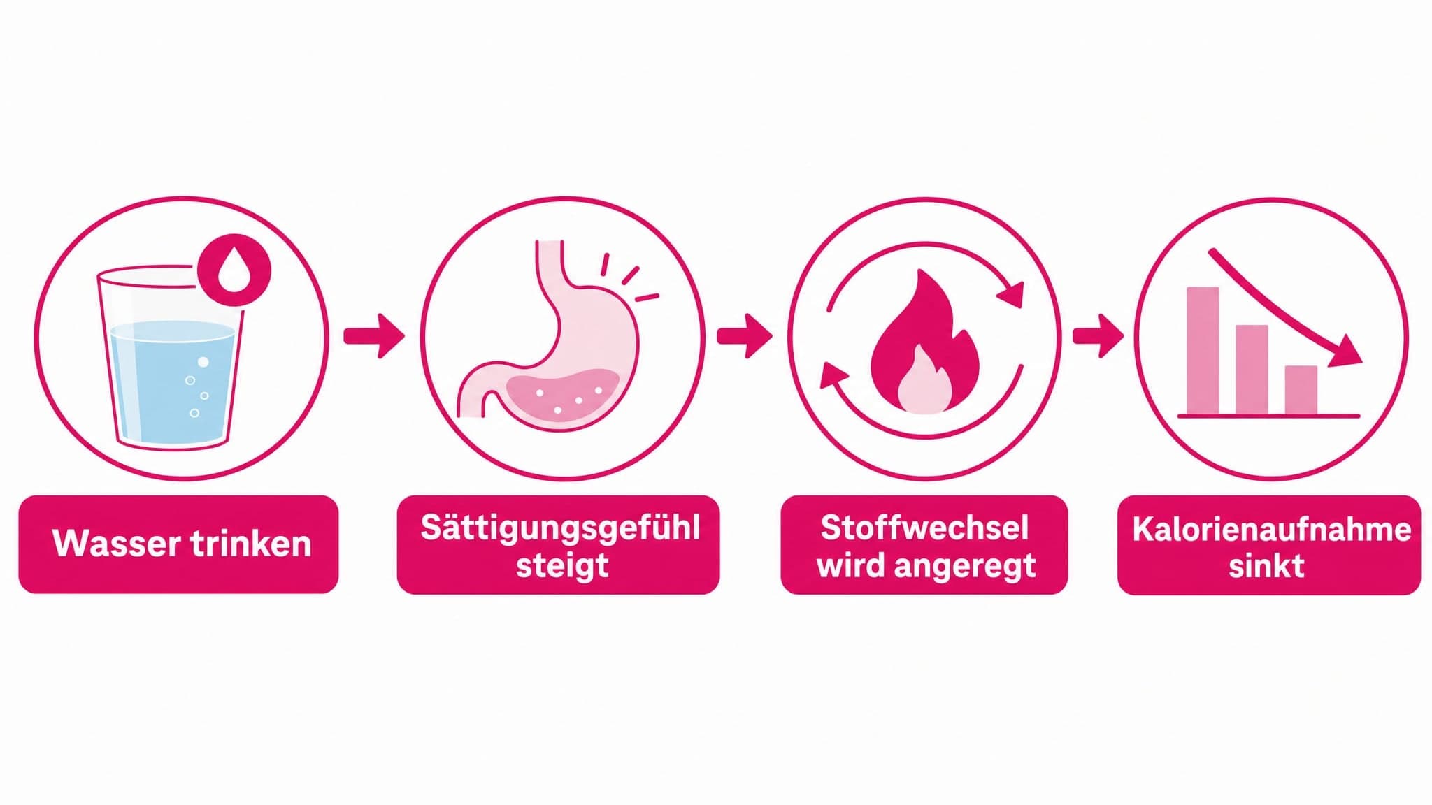Pfeile zeigen von "Wasser trinken" zu "Sättigungsgefühl steigt", "Stoffwechsel wird angeregt" und "Kalorienaufnahme sinkt".